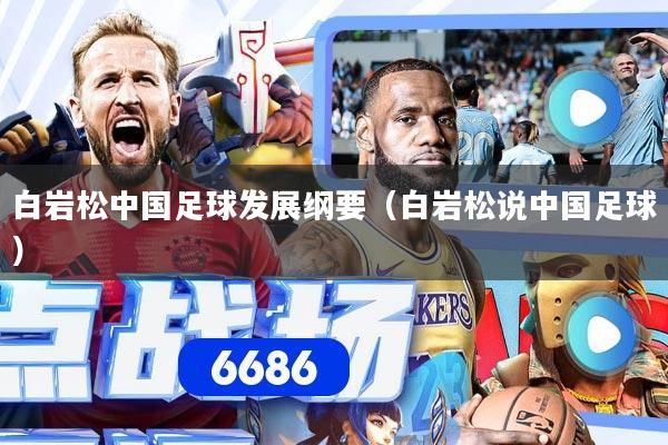 白岩松中国足球发展纲要（白岩松说中国足球）